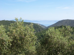 L'unico spicchio di mare che si vede dall'Olmo