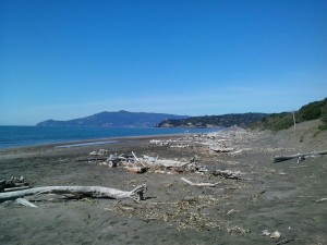 La spiaggia in inverno con lo sfondo dell' Argentario.