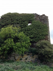 Veduta di una porzione della Rocca