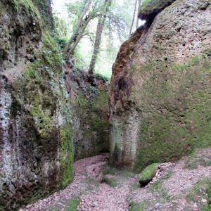 Un particolare della via cava