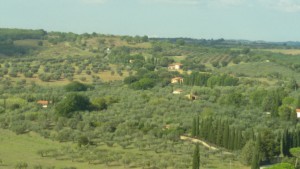 La campagna intorno Magliano