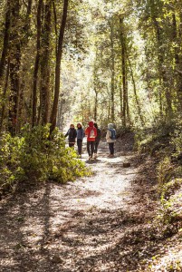 trekkinghisti nella macchia