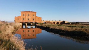 La cosiddetta Casa Rossa della Diaccia Botrona