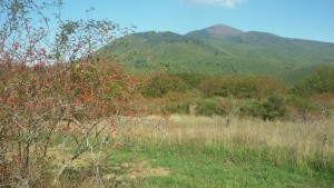 Una veduta del Monte Amiata dal percorso.